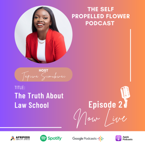 Episode 2 - The truth about Law school