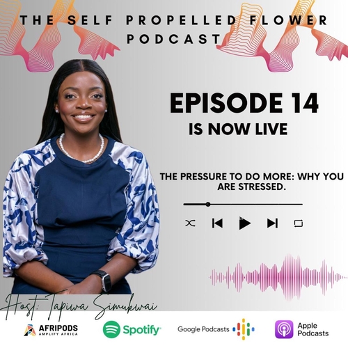 Episode 14 - The pressure to do more