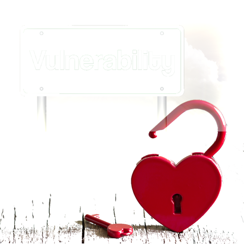 Vulnerability Vulnerability