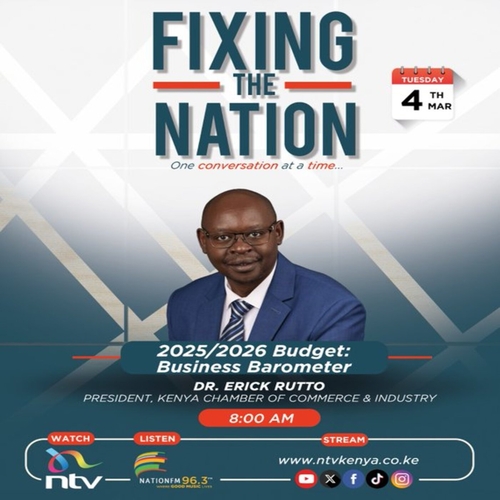 Kenya's financial position || Erick Rutto || Fixing The Nation episode artwork