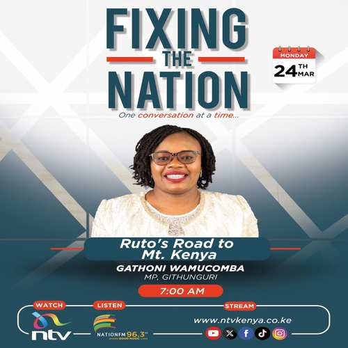 Ruto's road to Mt. Kenya || Gathoni Wamucomba || Fixing The Nation episode artwork