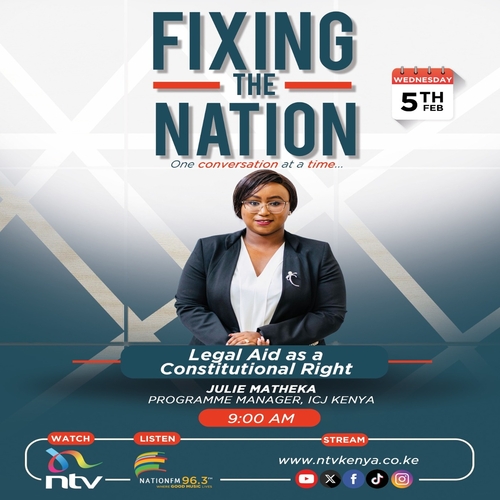 Legal aid as a constitutional right || Julie Matheka || Fixing The Nation episode artwork