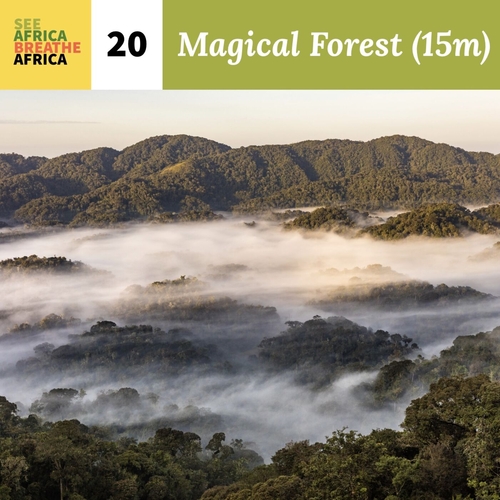 #20 The Magical Forest of Nyungwe & Mt Sabyinyo