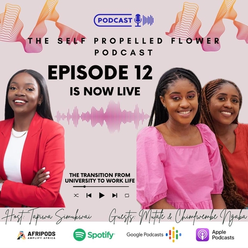 Episode 12 - The transition from University to work life