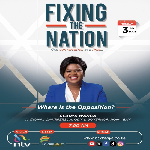 Role of opposition in governance || Gladys Wanga || Fixing The Nation episode artwork