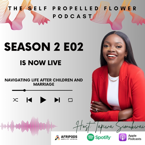 Season 2 Episode 02: Navigating life after children and marriage