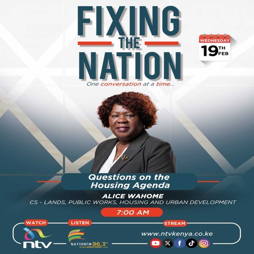 Affordable Housing programme || Alice Wahome || Fixing The Nation episode artwork