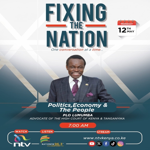 Politics, Economy and The People || PLO Lumumba || Fixing The Nation episode artwork
