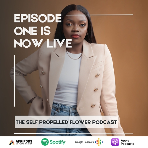Episode 1 - How we got here