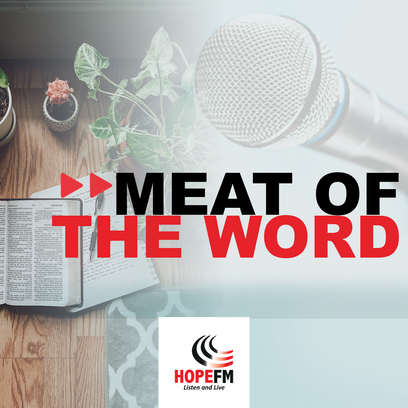 Meat of the Word