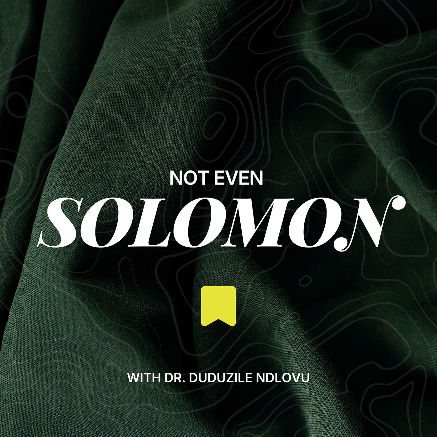 Not Even Solomon cover art