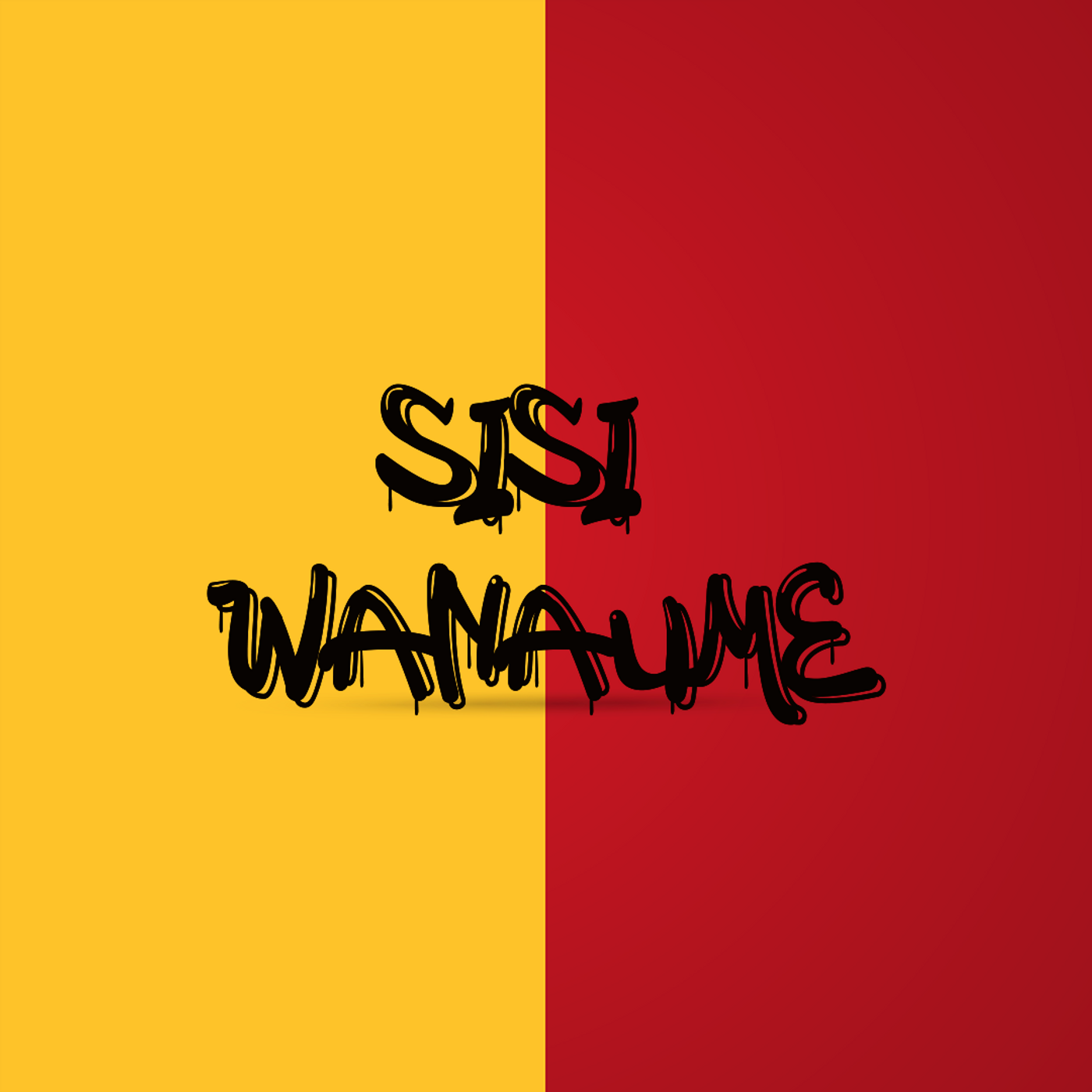 Sisi Wanaume cover art