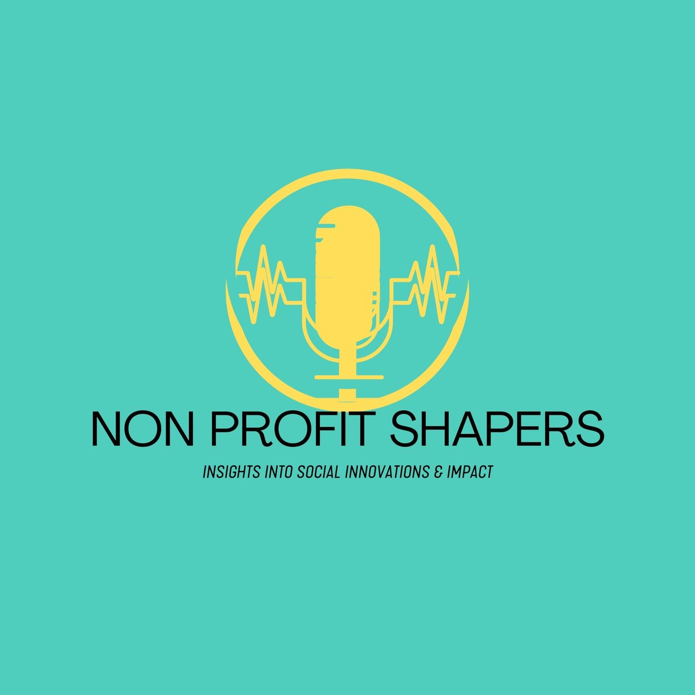 Non Profit Shapers Image
