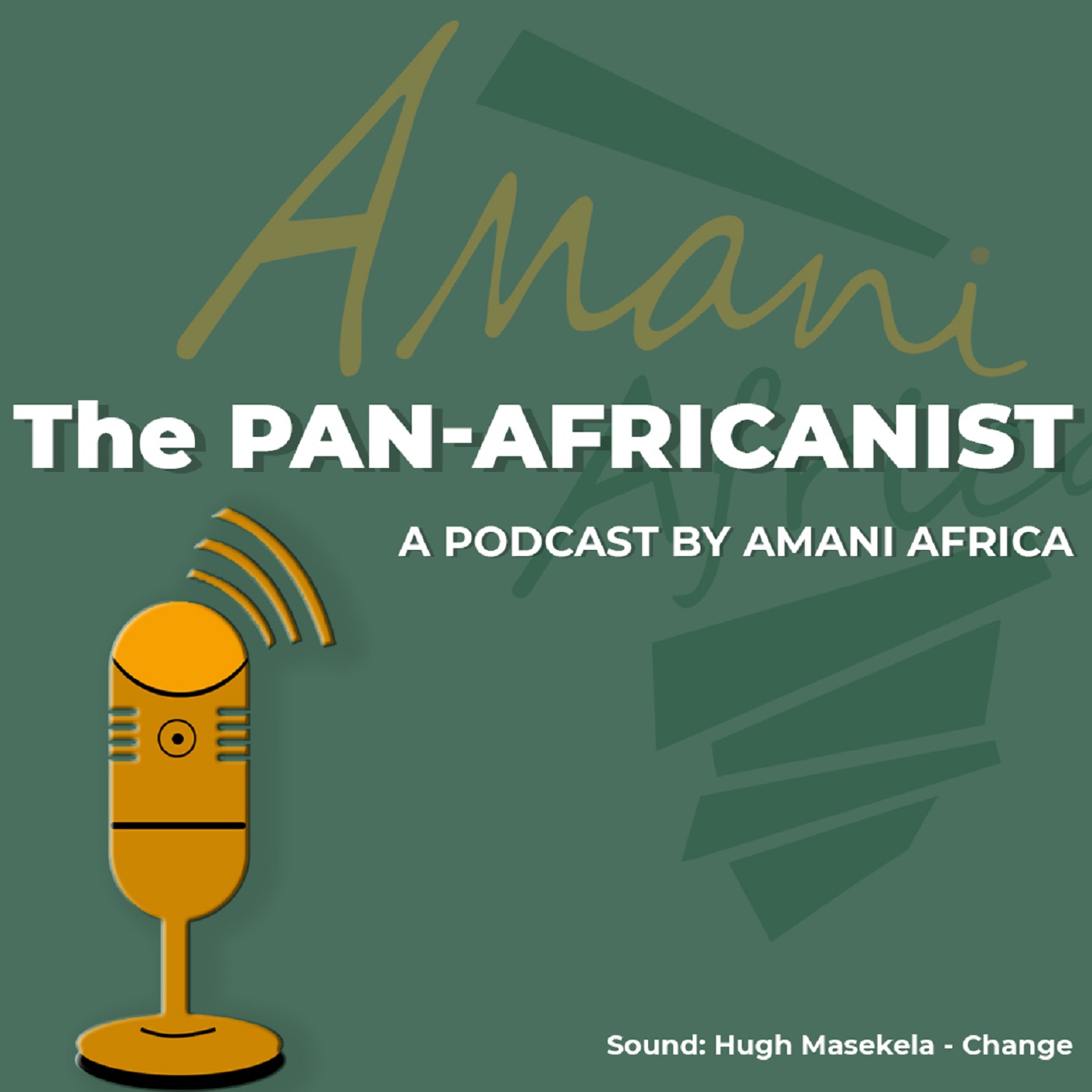 The Pan Africanist artwork